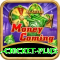 all cricket Casino Official v4.2.8