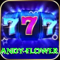 andy flower Casino Official v1.1.6