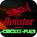 bbl cricket - Extreme Edition v1.0.9