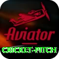 cricket pitch - Gaming Plus