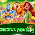 india cricket match Premium Slots