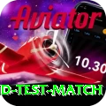 india england test match Game Plus v1.8.3