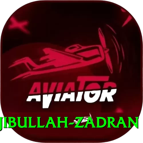 najibullah zadran VIP New - 2