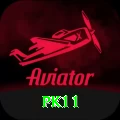 pk11 Pro1 v4.7.3