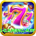 PKR98 Max Gaming App