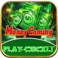 play cricket Slot Machine Royal