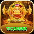 tiger888 Champion v1.9.8
